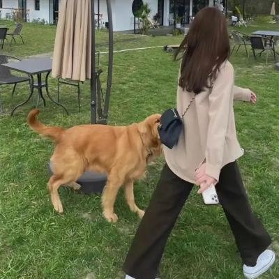 疯狂的心